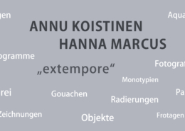 Annu Koistinnen DIELÄMMER